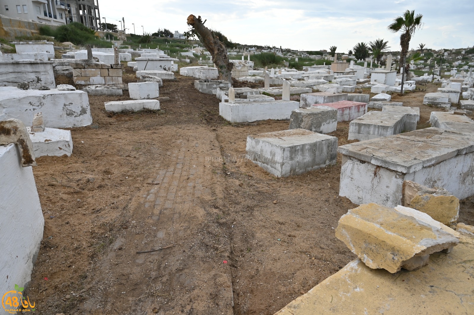 يافا: الاستعداد لصبّ أرضية مقبرة الكازاخانة بعشرات الأطنان من الباطون 